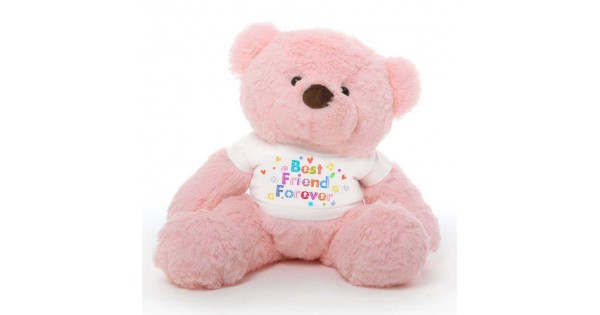 Buy Pink 2 feet Fur Face Big Teddy Bear wearing a Best Friend